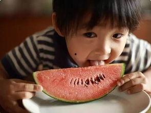 娱乐吃瓜酱这就是夏天