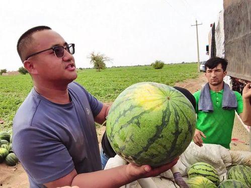 免费吃瓜全球更新最快